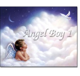 Angel Boy 1