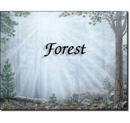 Forest