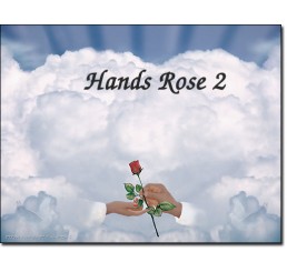 Hands Rose 2