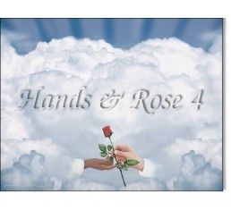 Hands Rose 4