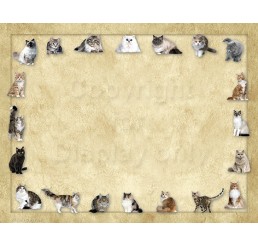 Cats 2