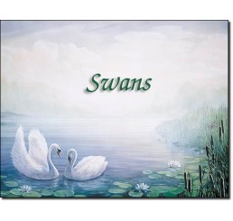 Swans