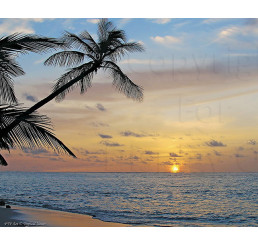 Tropical Sunset 2-New